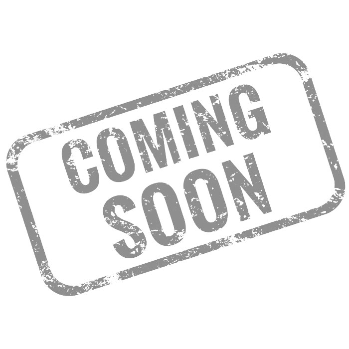 Motor > Kupplungsbeläge wechseln - Gronsdorf Vespa Garage